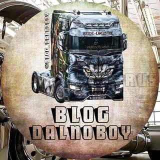 blog_dalnoboy