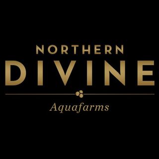 northern_divine